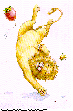 LIONFROG.bmp