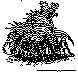 LARVA2.bmp