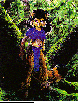 INFOREST.bmp