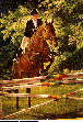 HORSJUMP.bmp