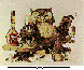 HOOTMON.bmp
