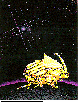GOLD_BUG.bmp