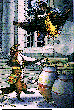 GENIE1.bmp