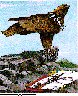 EAGLE.bmp