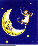 CATFIDDL.bmp