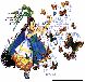 BUTTRFLY.bmp