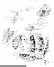BEES.bmp