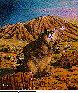 BEAVER2.bmp