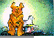 BAREBEAR.bmp