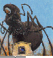ATOM_ANT.bmp