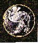 ALICORN.bmp