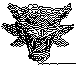 URNUSCAT.bmp