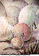 SNAILS.bmp