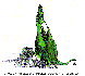 GREEN.bmp