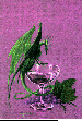 DRINKER.bmp