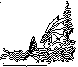 DRAGONFL.bmp