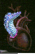 DRAGON3.bmp