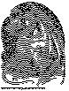 DRAGON.bmp
