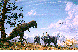 DINOS.bmp