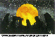 STONENGE.bmp