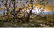 STICKS.bmp