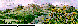 MOUNTAIN.bmp