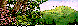 LANDSCAP.bmp