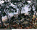 SCELET.bmp