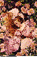 ROSEBED.bmp