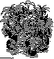 NEW_GAME.bmp