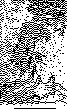 MY_LADY.bmp