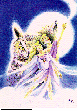MOON_OWL.bmp