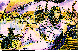 CLEOPATR.bmp