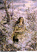 AUTUMN.bmp