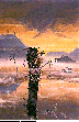 SCARCROW.bmp
