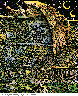 ROC_KON.bmp