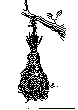 NEST.bmp