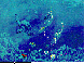 MERMAIDZ.bmp