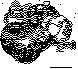 FOR_RENT.bmp