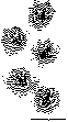 FOOTPRNT.bmp