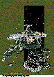 DWORLD.bmp