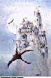 CASTLE3.bmp