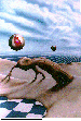 BEACH.bmp