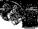 VIEWER.bmp