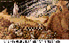 THEFIND.bmp