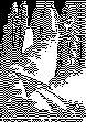 STONFACE.bmp