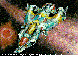 SPACESHP.bmp