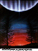 PINESUN.bmp