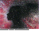 NEBUGIRL.bmp