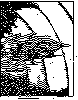 FASTSHIP.bmp